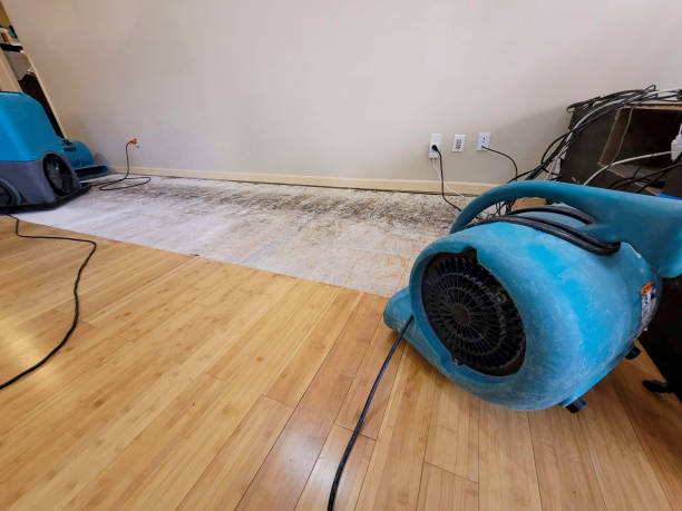 Professional Basement Flood Cleanup technician working in Manchaca, TX